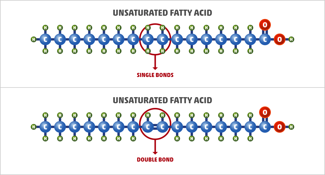 Saturated vs. Unsaturated Fat: What is the Difference?