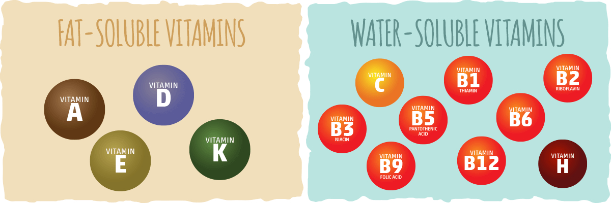 Vitamins — A Brief Overview